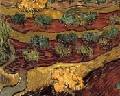 文森特 威廉 梵高 : 橄榄园(鸟瞰)